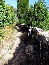 Haz click para ampliar