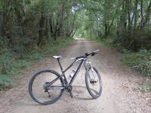 Haz click para ampliar