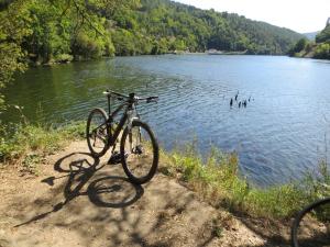 Haz click para ampliar